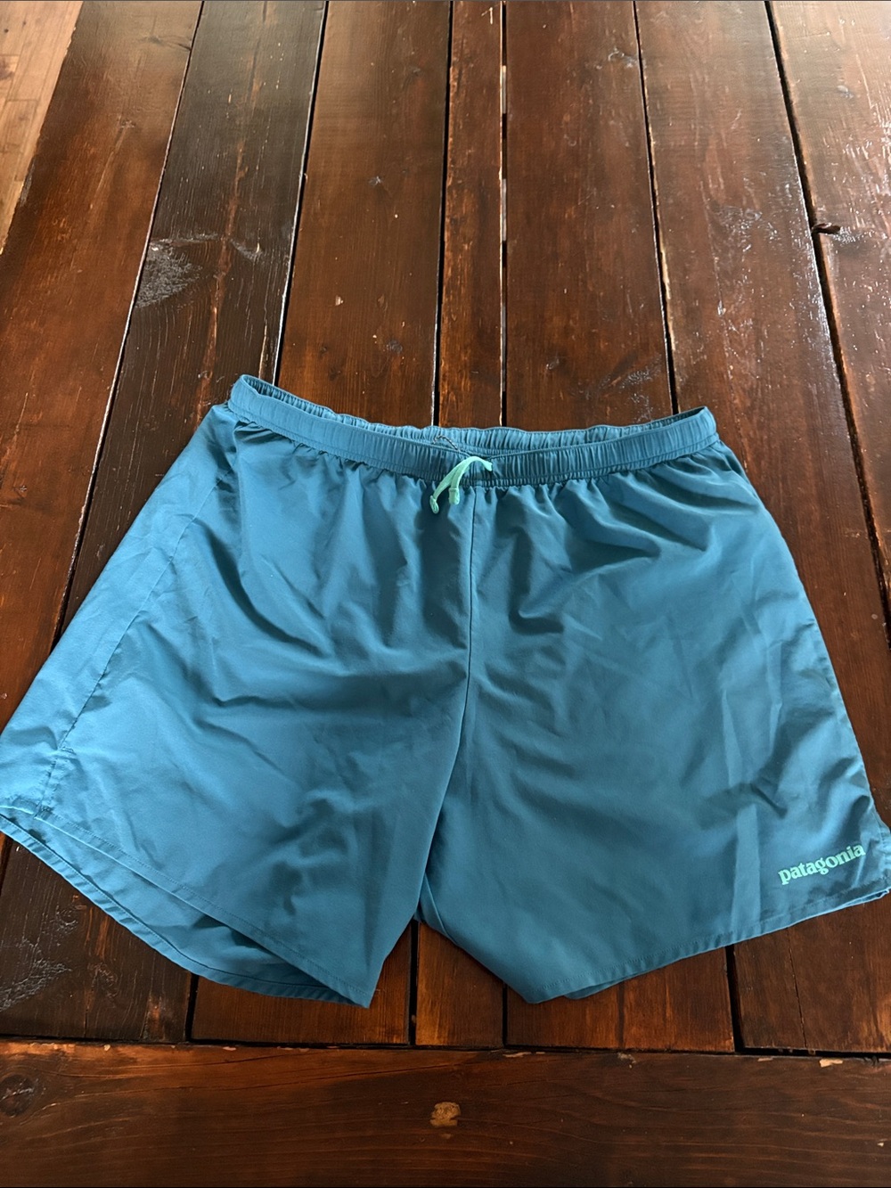 Patagonia Men's Shorts